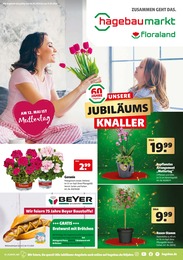 Aktueller Hagebaumarkt Baumärkte Prospekt für Schwabenheim: UNSERE JUBILÄUMSKNALLER mit 20} Seiten, 04.05.2024 - 11.05.2024