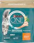 EDEKA Prisdorf - Katzen Trockenahrung One Bifensis Angebot im Prospekt Katzen Trockenahrung One Bifensis bei EDEKA im Prisdorf Prospekt für 2,99 €