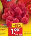 Aktuelle Gemüse Angebote bei Netto Marken-Discount in Oldenburg Aktuelles Himbeeren Angebot bei Netto Marken-Discount in Oldenburg ab 1,99 €