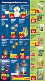 Laternen Angebot im aktuellen Thomas Philipps Prospekt auf Seite 3