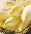 Promo Endive à 1,89 € dans le catalogue Intermarché à Ensuès-la-Redonne