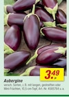 toom Baumarkt Rinteln - Aubergine Angebot im Prospekt Aubergine bei toom Baumarkt im Rinteln Prospekt für 3,49 €