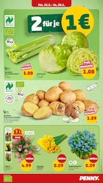 Sellerie Angebot im aktuellen Penny Prospekt auf Seite 3