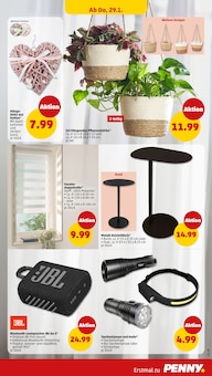Pflanzen im Penny Prospekt "Wer günstig will, muss Penny." mit 46 Seiten (Wiesbaden)
