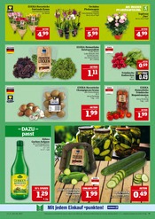 Ähnliche Angebote wie Weihnachtsstern im Prospekt "AUSWAHL RIESIG, PREISE NIEDRIG" auf Seite 11 von Marktkauf in Schweinfurt