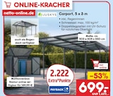 Aktuelles Carport 5x3 m Angebot bei Netto Marken-Discount in Potsdam ab 149,99 €