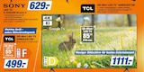 Aktuelles QD-Mini LED TV 55MQLED75K Angebot bei expert in Darmstadt ab 499,00 €