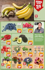 Bananen im REWE Prospekt in Buxtehude Aktueller REWE Prospekt mit Bananen, "Dein Markt", Seite 9