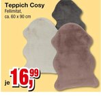 Teppich Cosy Angebote bei Die Möbelfundgrube Saarbrücken für 16,99 €