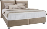 Boxspringbett "FOG" ca. 160x200cm im Angebot bei mömax in Fulda Boxspringbett "FOG" ca. 160x200cm Angebote bei mömax Fulda für 1.099,00 €