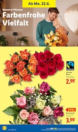 Aktueller Lidl Prospekt mit Blumen, "LIDL LOHNT SICH", Seite 68