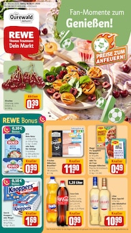 Aktueller REWE Prospekt (Fürth, Bergstraße, 28 Seiten zum blättern REWE Prospekt Dein Markt mit 28 Seiten