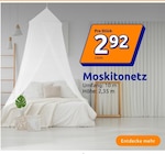 Moskitonetz bei Action im Meppen Prospekt für 2,92 €