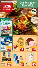 Aktueller REWE Discounter Prospekt in Ehingen und Umgebung, "Dein Markt" mit 16 Seiten, 17.03.2025 - 22.03.2025