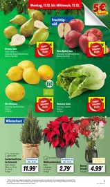 Apfel Angebote im Prospekt "LIDL LOHNT SICH" von Lidl Apfel Angebote im Prospekt "LIDL LOHNT SICH" von Lidl auf Seite 3