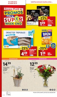 Promo Décoration Extérieure De Noël dans le catalogue Lidl du moment à la page 66