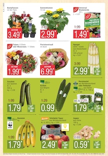 Blumenerde Angebot im aktuellen Marktkauf Prospekt auf Seite 4