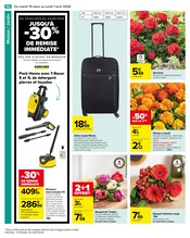 Plantes Angebote im Prospekt "Carrefour" von Carrefour auf Seite 58
