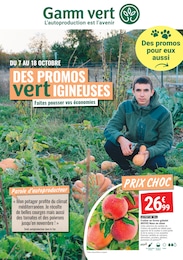 Catalogue Gamm vert à Nouan-le-Fuzelier, avec 12 pages Prospectus Gamm vert à Nouan-le-Fuzelier: "DES PROMOS vertIGINEUSES", 12} pages, 07/10/2026 - 18/10/2026
