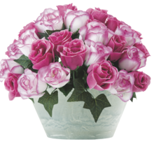 POT ROSES - Gifi à Sevran POT ROSES en promo chez Gifi Sevran à 15,00 €