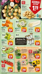 Spargel Angebot & Preis im aktuellen REWE Prospekt Spargel Angebot im aktuellen REWE Prospekt auf Seite 7