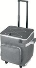 Einkaufstrolley mit Kühlfunktion im Angebot bei Lidl in Schwäbisch Hall Einkaufstrolley mit Kühlfunktion Angebote von TOPMOVE bei Lidl Schwäbisch Hall für 19,99 €