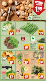 REWE Pfanne im Prospekt 