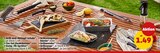 Grill-und-Abtropf-Schale im Angebot bei Penny in Borken Grill-und-Abtropf-Schale Angebote bei Penny Borken für 1,49 €