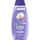 Shampoo Volume & Collagen im Angebot bei dm-drogerie markt in Willich Shampoo Volume & Collagen Angebote von schauma bei dm-drogerie markt Willich für 1,95 €