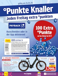 Netto Marken-Discount Fahrrad im Prospekt 