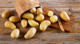 Speisekartoffeln im Angebot bei REWE in Düsseldorf Speisekartoffeln Angebote von REWE Beste Wahl bei REWE Düsseldorf für 1,99 €