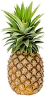 Ananas Gold bei REWE im Senden Prospekt für 2,79 €