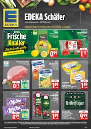 EDEKA Prospekt "Wir lieben Lebensmittel!" für Bernsdorf, 28 Seiten, 08.12.2025 - 13.12.2025