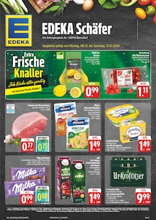 EDEKA Prospekt der Woche "Wir lieben Lebensmittel!" Seite 1, 08.12.2025 bis 13.12.2025 für Bernsdorf Aktueller EDEKA Prospekt "Wir lieben Lebensmittel!" Seite 1 von 28 Seiten für Bernsdorf