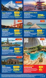 Safari Angebot & Preis im aktuellen Lidl Prospekt Safari Angebot im aktuellen Lidl Prospekt auf Seite 59