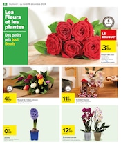 Orchidée Angebote im Prospekt "JOYEUX NOËL & MEILLEURS PRIX" von Carrefour auf Seite 26