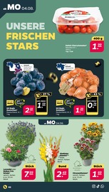 Aktueller Netto mit dem Scottie Prospekt mit Blumenzwiebeln, "Günstig. Besser. Für Dich.", Seite 2