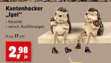 Kantenhocker Igel im aktuellen Thomas Philipps Prospekt