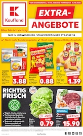 Gemüse im Kaufland Prospekt in Bietigheim-Bissingen Aktueller Kaufland Prospekt mit Gemüse, "EXTRA-ANGEBOTE", Seite 1