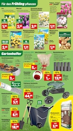 Bodenbelag im Thomas Philipps Prospekt in Oranienburg Aktueller Thomas Philipps Prospekt mit Bodenbelag, "Top Angebote", Seite 2