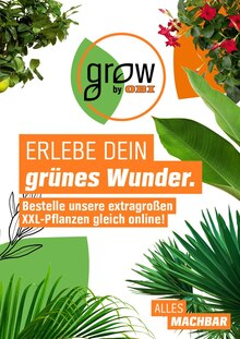 Dehner Angebote, Infos, aktueller Prospekt vom Dehner Gartencenter