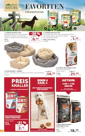 Ähnliche Angebote wie Schweineohren im Prospekt "Jetzt wird's Dehner!" auf Seite 14 von Dehner Garten-Center in Kiel