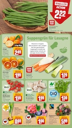 Garten im REWE Prospekt Dein Markt auf S. 9