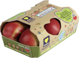 Aktuelle Äpfel Angebote bei E center in Karlsruhe Aktuelles Elstar Angebot bei E center in Karlsruhe ab 1,99 €