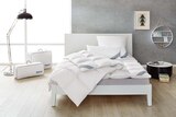 3-Kammer-Kopfkissen ca. 40 x 80 cm Angebote von Balette bei Lidl Bad Oeynhausen für 24,99 €