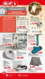 Ähnliche Katzentoilette Angebote im Prospekt "Aktuelle Angebote" von Zookauf Ähnliches Angebot bei Zookauf in Prospekt "Aktuelle Angebote" gefunden auf Seite 4