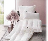 Aktuelles Winterbett Duo Vegan Dream Angebot bei Zurbrüggen in Münster ab 34,99 €
