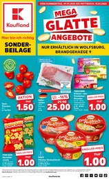 Kaufland Prospekt für Wolfsburg mit 8 Seiten Kaufland Prospekt für Wolfsburg: "Sonderbeilage", 8 Seiten, 09.01.2025 - 15.01.2025