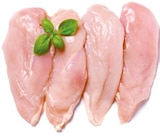 Meine Fleischerei Frische Hähnchenbrustfilets von Netto Eigenmarke im aktuellen Netto mit dem Scottie Prospekt