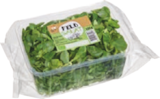 tegut - Bio-Feldsalat Angebot im Prospekt Bio-Feldsalat bei tegut im Prospekt "" für 0,99 €